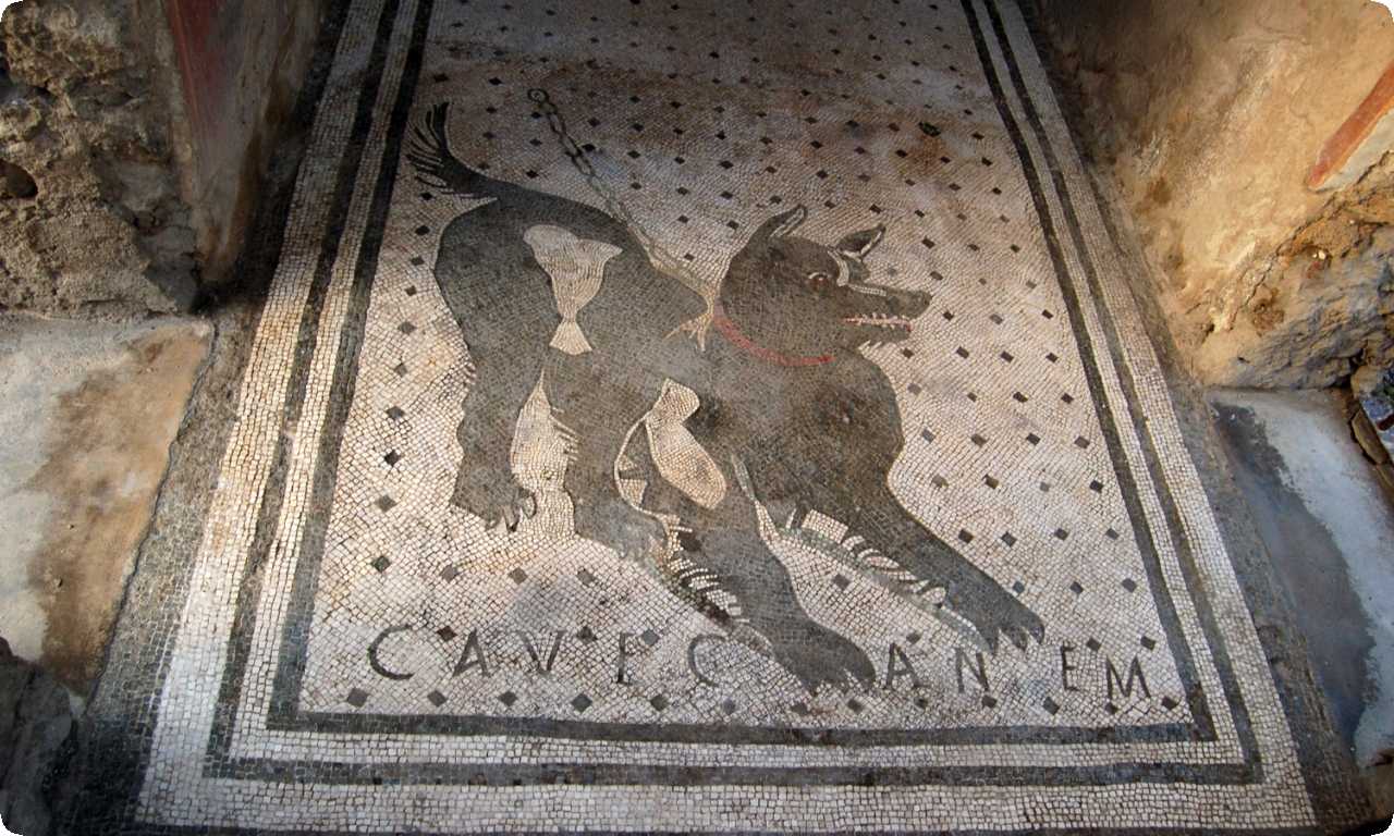 Древняя вывеска «Остерегайтесь собак» - каменная вывеска возрастом более 2000 лет, которая была найдена в римском доме. Она предупреждала людей о наличии собак на территории.