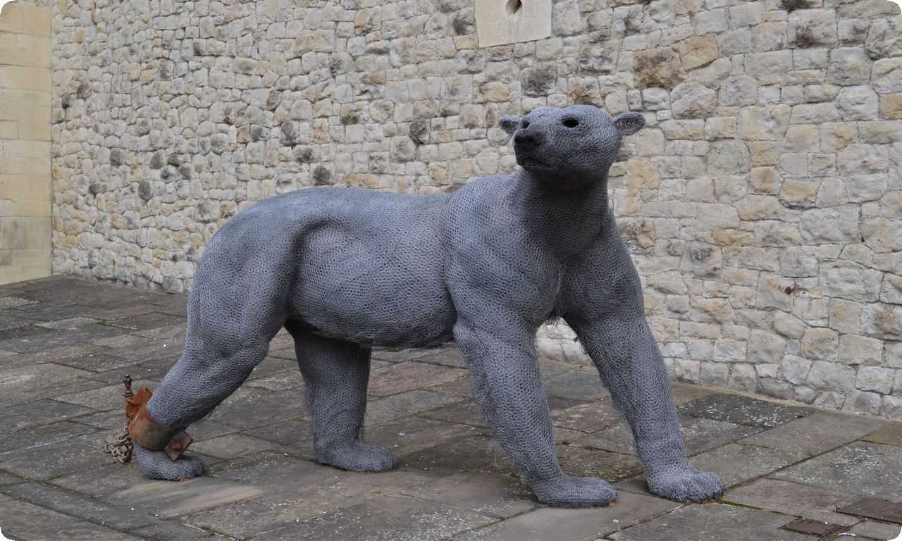 Изображение медведя, который также был частым гостем в зверинце Лондонского Тауэра