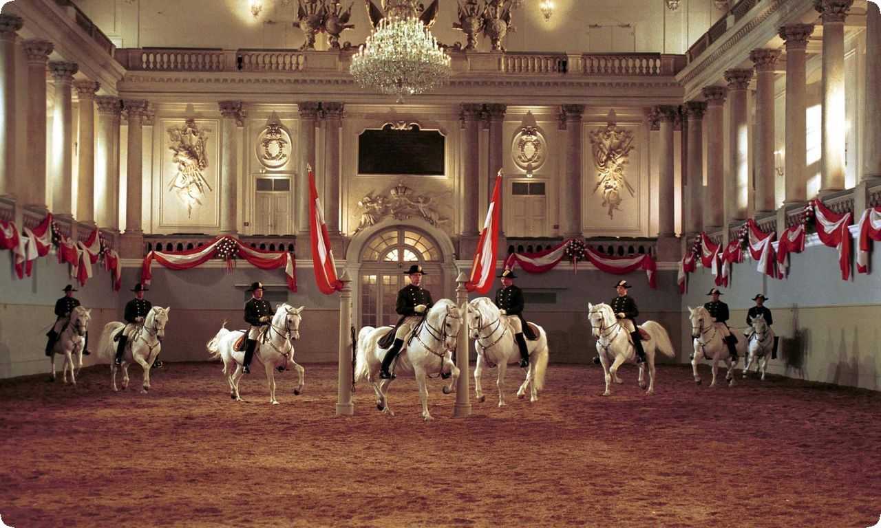 Испанская школа верховой езды - уникальное место, где можно увидеть выступления на белоснежных лошадях породы Липицан, выполняющих высокохудожественные трюки, представляющие настоящее искусство верховой езды.