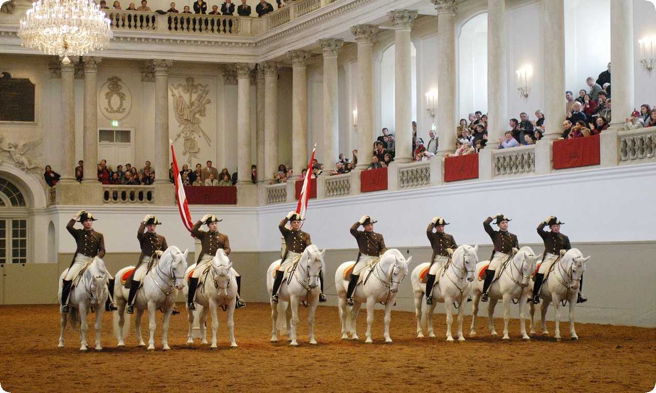 В Испанской школе верховой езды каждый день проходят тренировки наездников и лошадей породы Липицан, на которых можно наблюдать из зрительного зала. Это уникальный шанс увидеть настоящее искусство верховой езды в действии.