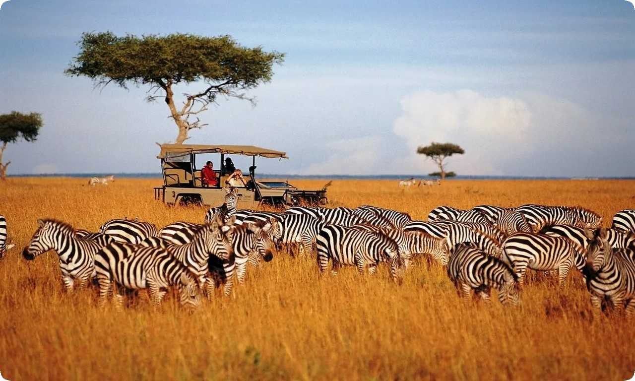 Сафари в национальном парке Серенгети, Танзания
