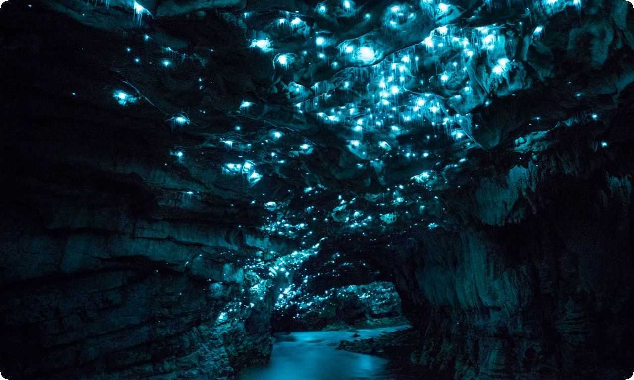 В Новой Зеландии есть удивительное место - пещеры светлячков Вайтомо, где можно увидеть светлячков, создающих уникальную атмосферу.