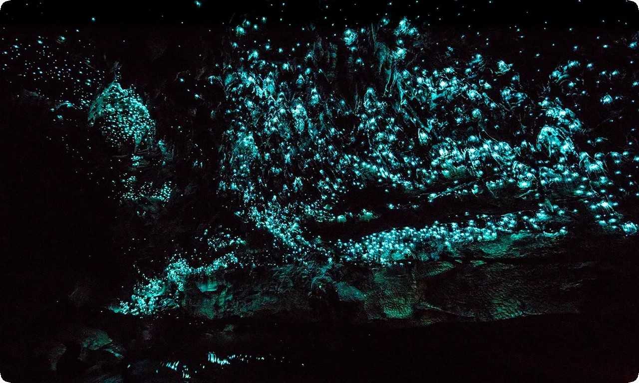 Новая Зеландия скрывает уникальное чудо природы - пещеры светлячков Вайтомо, где можно увидеть красивые пещеры и светлячков, создающих неповторимую атмосферу.