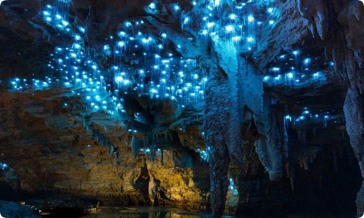 Пещеры светлячков Вайтомо - одно из самых удивительных природных явлений в Новой Зеландии, которое привлекает внимание туристов со всего мира.