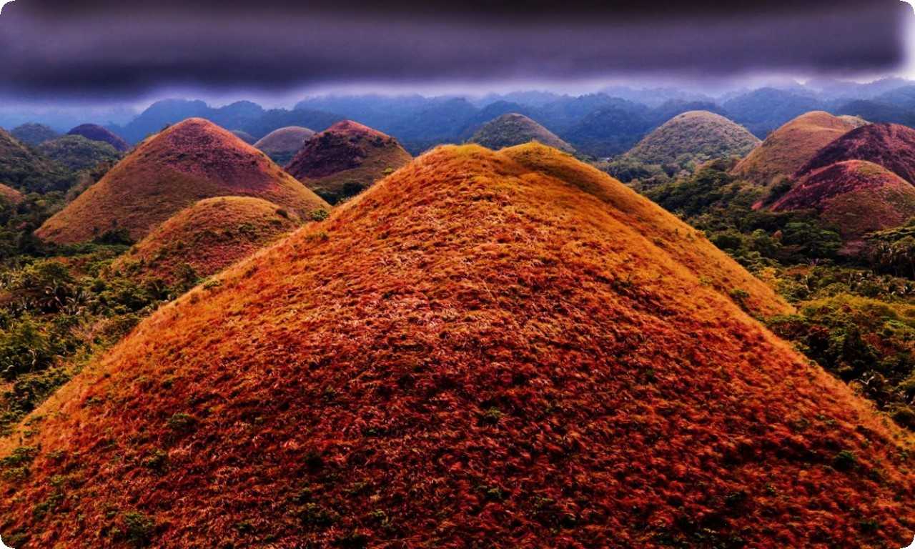 Шоколадные холмы на Филиппинах - тысячи конусообразных холмов, покрытых зеленью, которые в зимнее время напоминают шоколад.