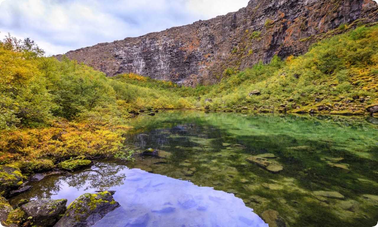 Каньон Асбырги - это не только уникальное чудо природы, но и место, где можно изучать экосистему Исландии.