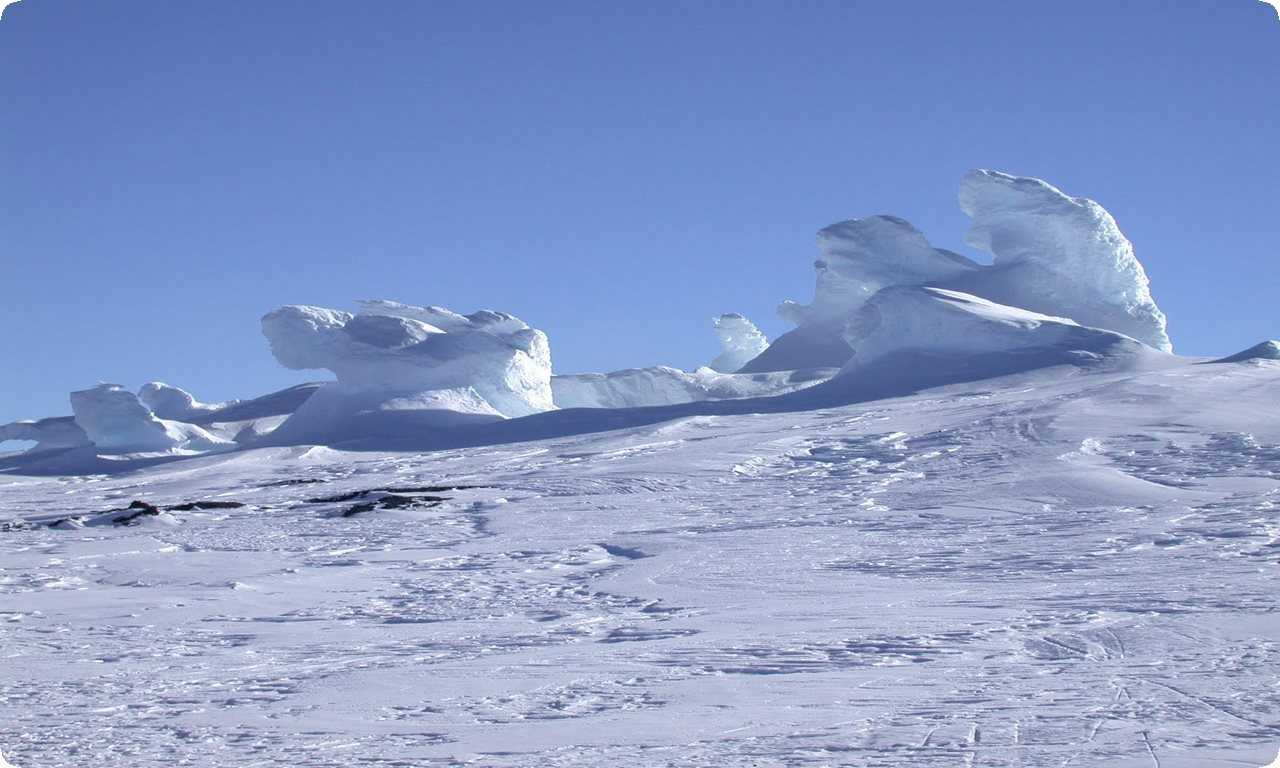 Гора Эребус - место, где можно увидеть редких животных и изучить экосистему Антарктиды.