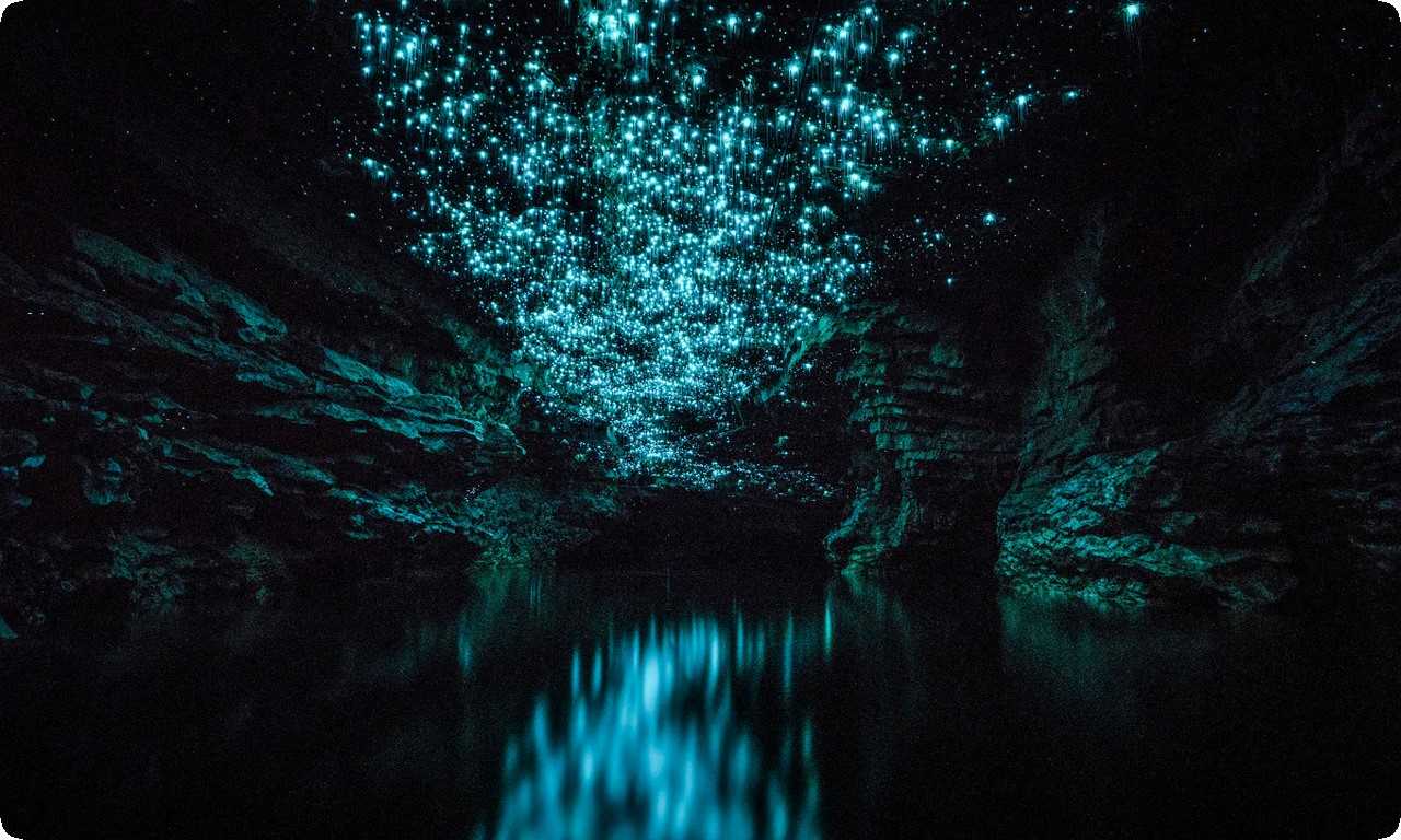 Пещеры светлячков Вайтомо в Новой Зеландии - уникальное природное явление, где тысячи светлячков создают неповторимый пейзаж.