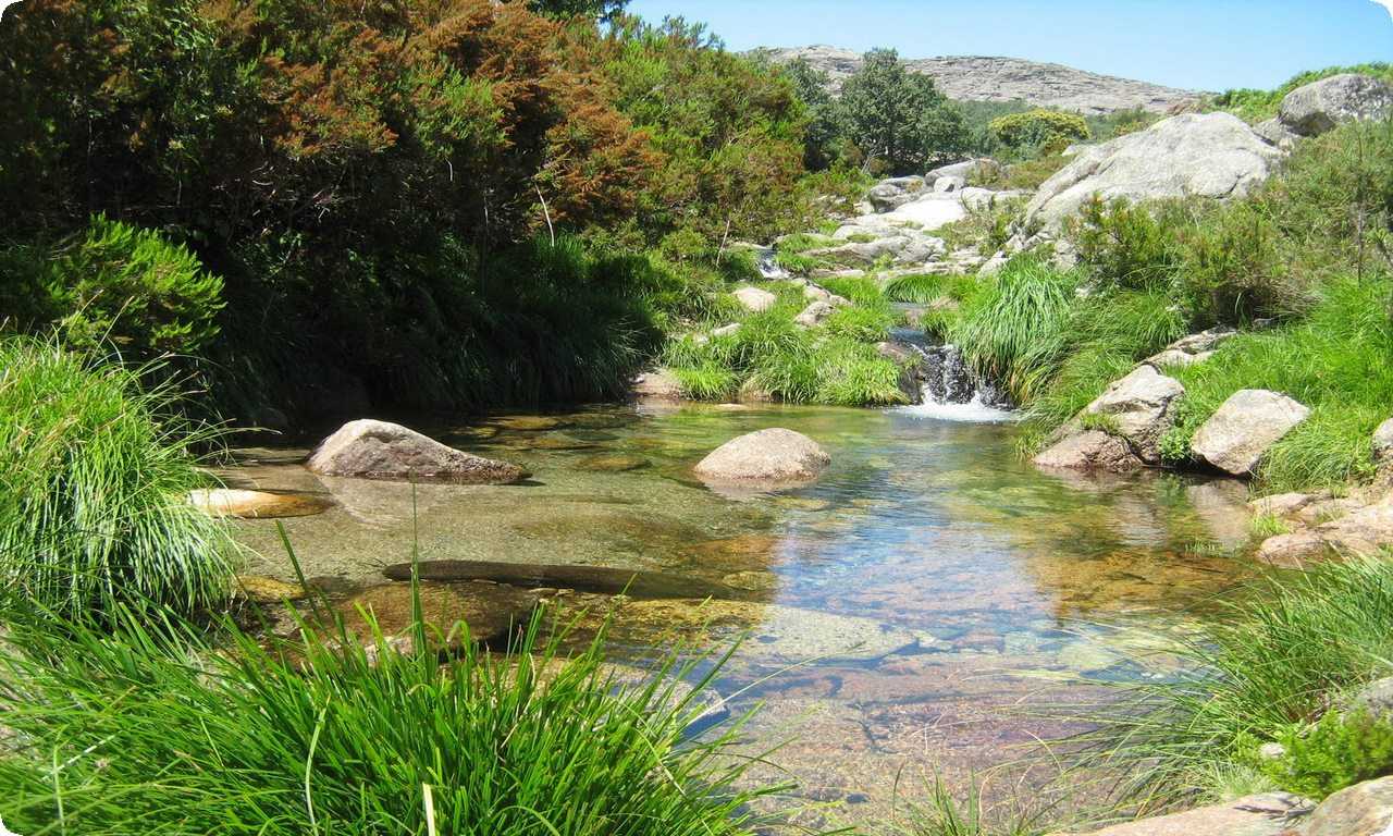 Река в Природном парке Алвана Португалии