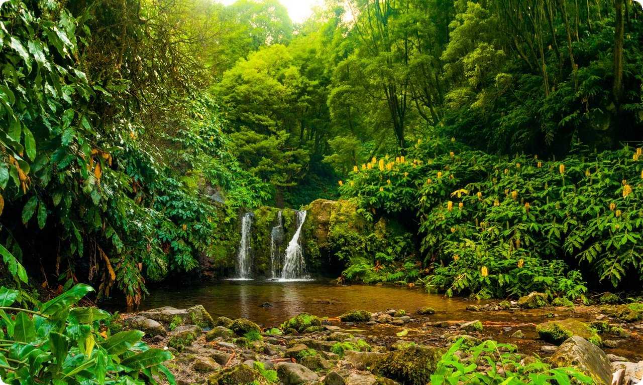 Водопад в Природном парке Алвана Португалии