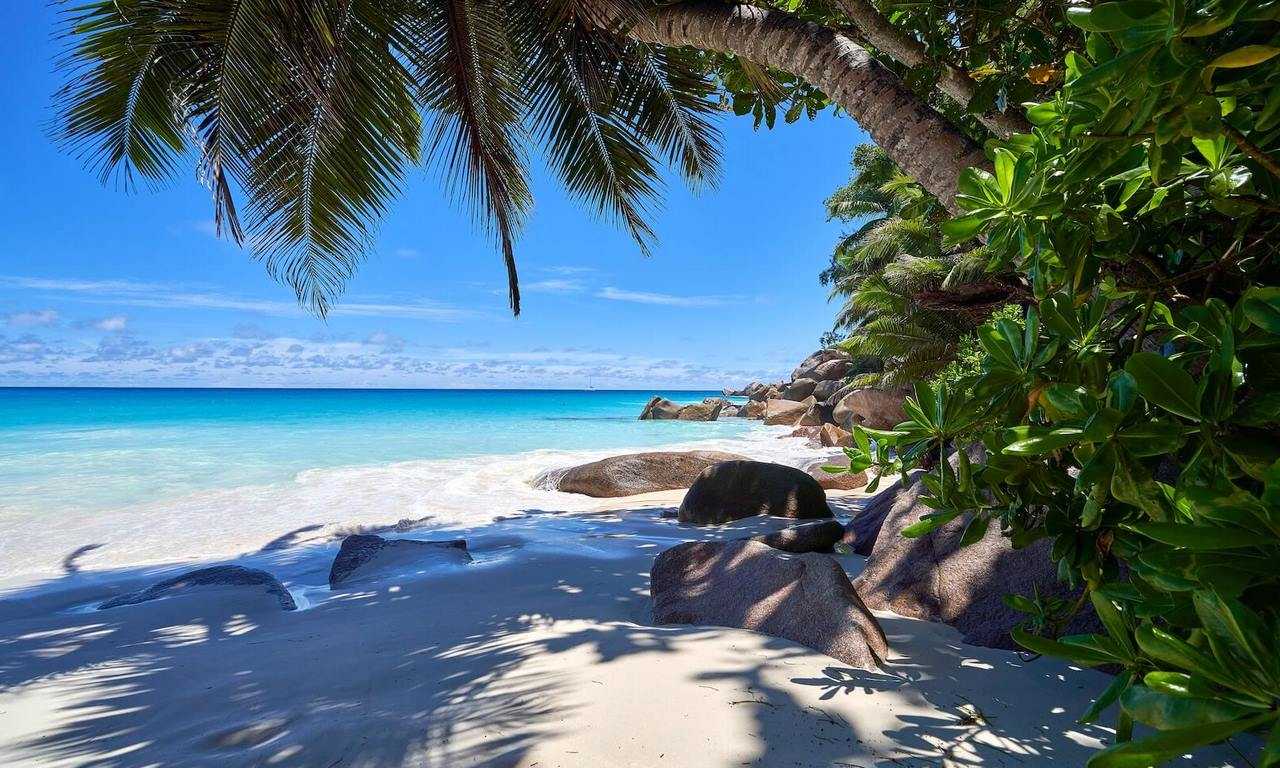 Отправляйтесь на Сейшельские острова на роскошный отдых, наслаждаясь белоснежными пляжами, экзотической природой и роскошными курортами.