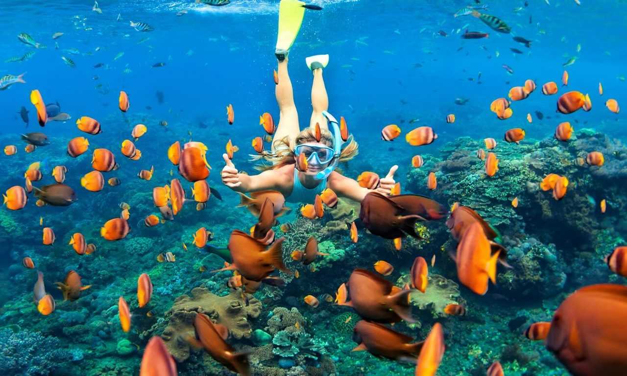 Подводный мир на Мальдивах - это идеальное место для романтических прогулок с любимым человеком. Отправьтесь на подводную экскурсию, наслаждайтесь красотой подводного мира и создавайте незабываемые воспоминания вместе.