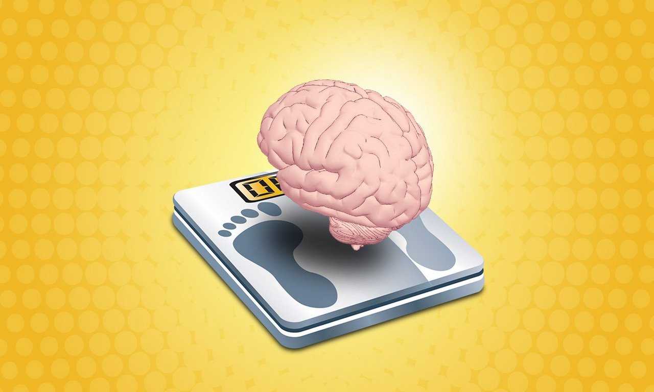 Мозг весит примерно 1,3-1,4 кг, что меньше, чем ожидают многие люди. #мозг #вес #факты