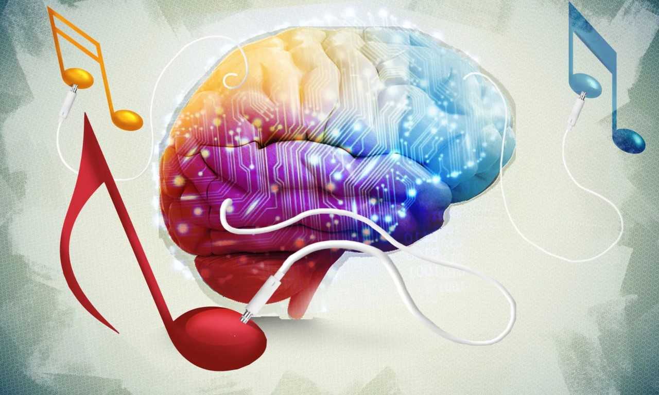 Слушание музыки может повысить активность мозга, стимулируя эмоциональные и когнитивные процессы, а также улучшая настроение и память. #мозг #музыка #факты